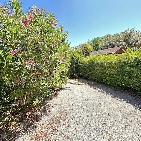 Maxime : 2 Pieces Avec Terrasse A 200m De La - Fr-1-226-563 * Sainte-Maxime